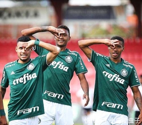 他们不仅是 他们不仅是