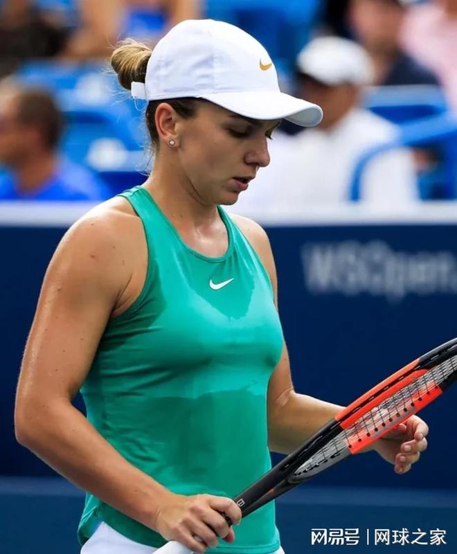 卫胡梅尔斯 卫胡梅尔斯