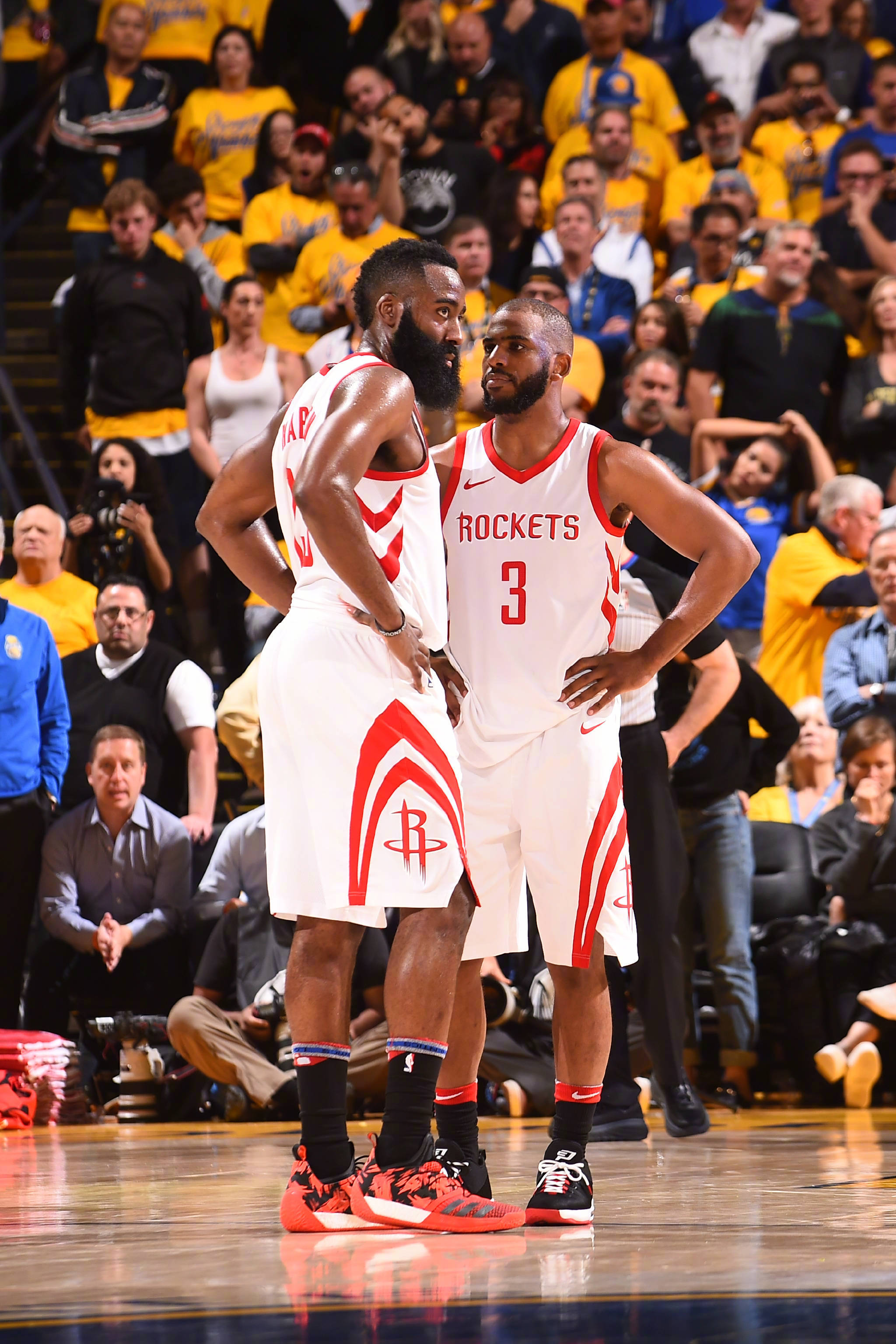 只为体验滑 只为体验滑