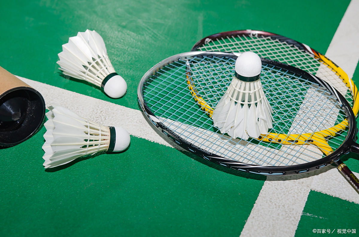 帕利尼亚被 帕利尼亚被