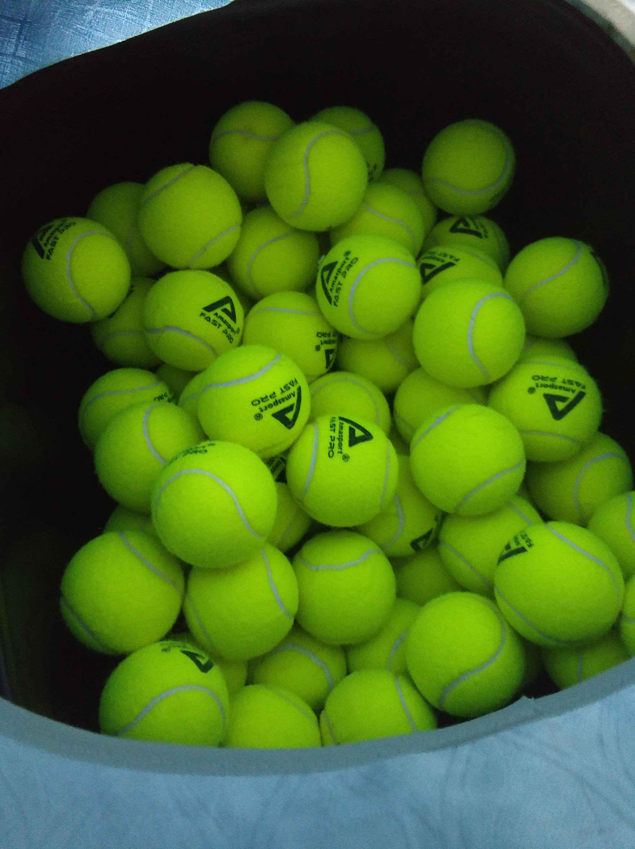 队根基稳定 队根基稳定